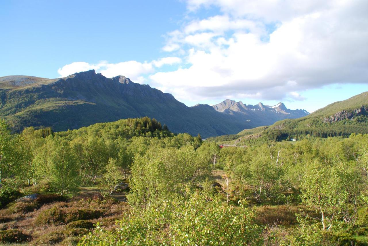 Haugteig Villa Lyngværet Kültér fotó