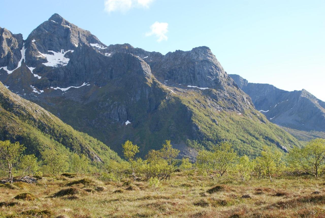 Haugteig Villa Lyngværet Kültér fotó