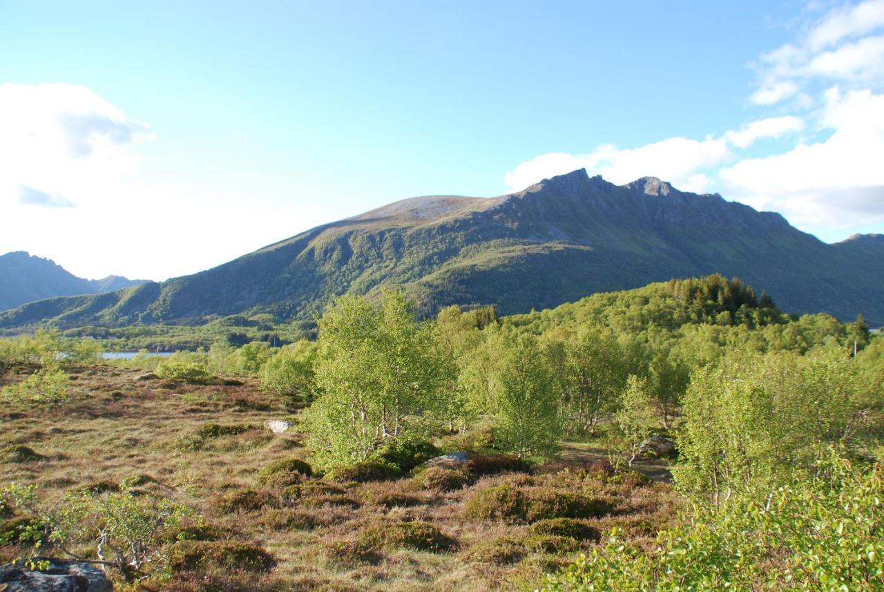 Haugteig Villa Lyngværet Kültér fotó