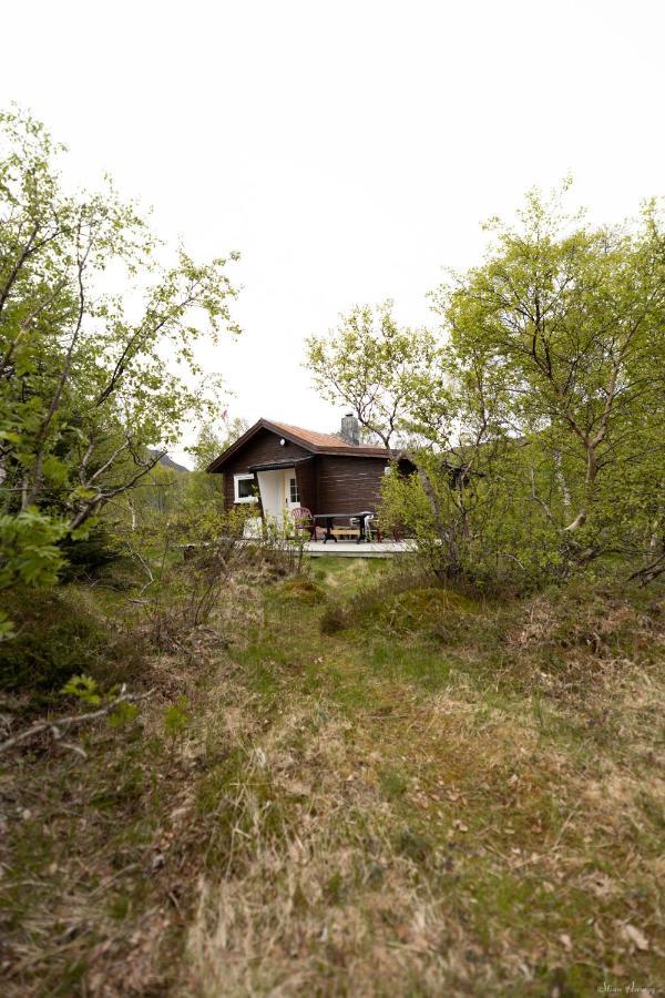 Haugteig Villa Lyngværet Kültér fotó