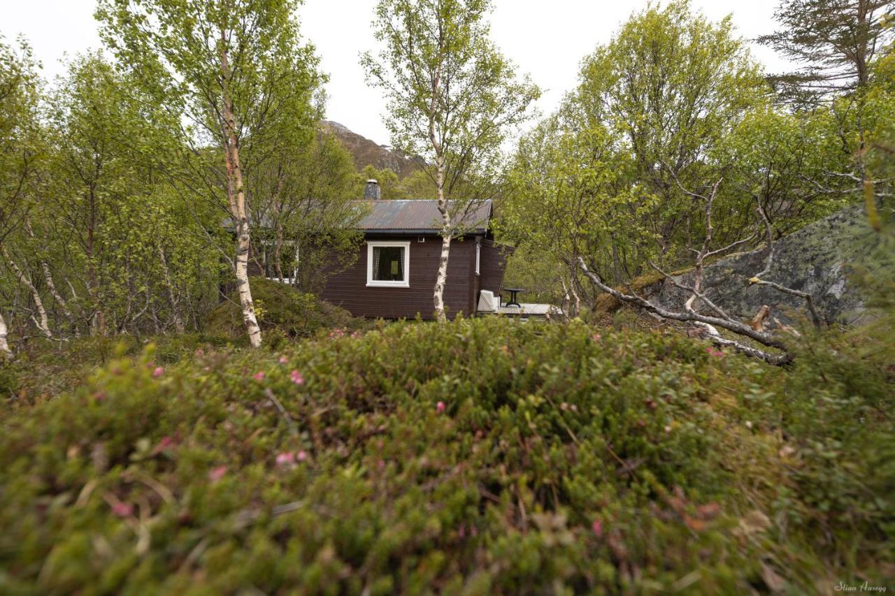 Haugteig Villa Lyngværet Kültér fotó