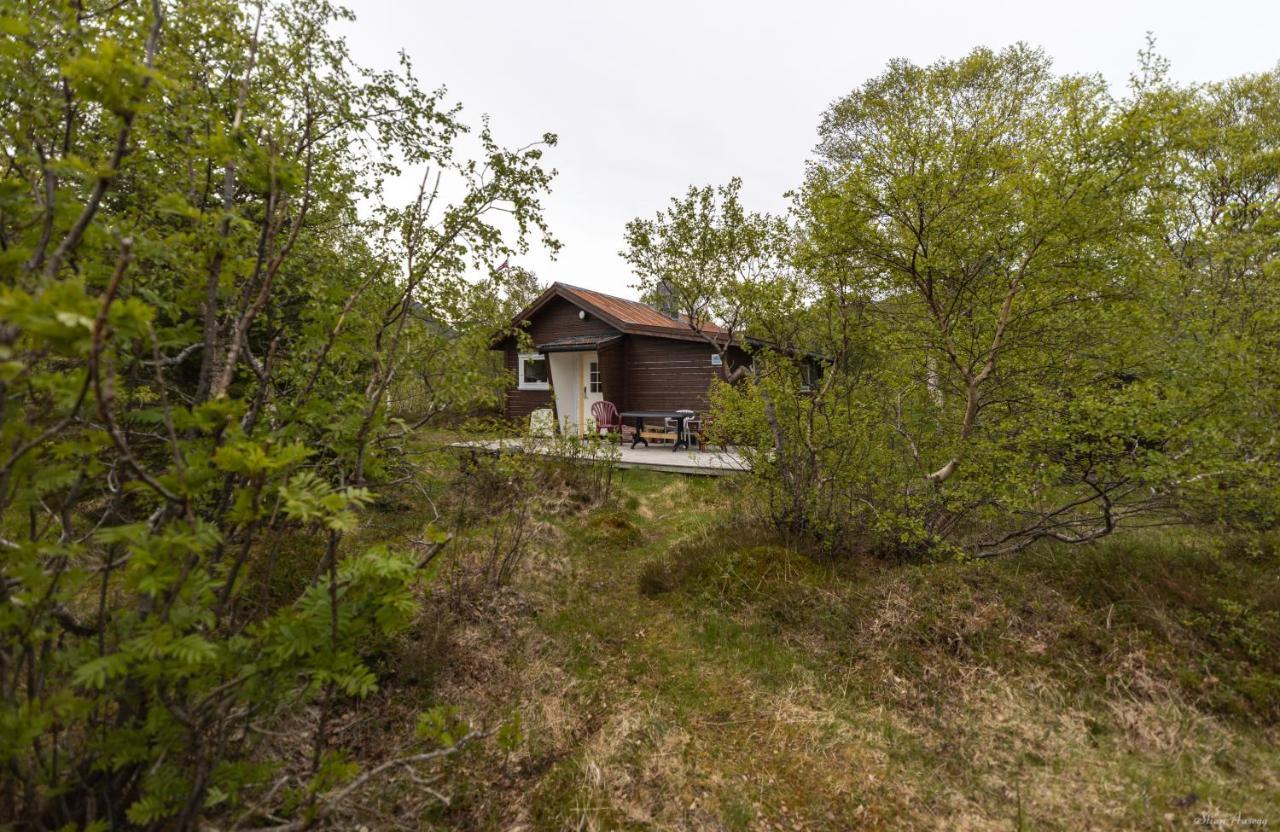 Haugteig Villa Lyngværet Kültér fotó